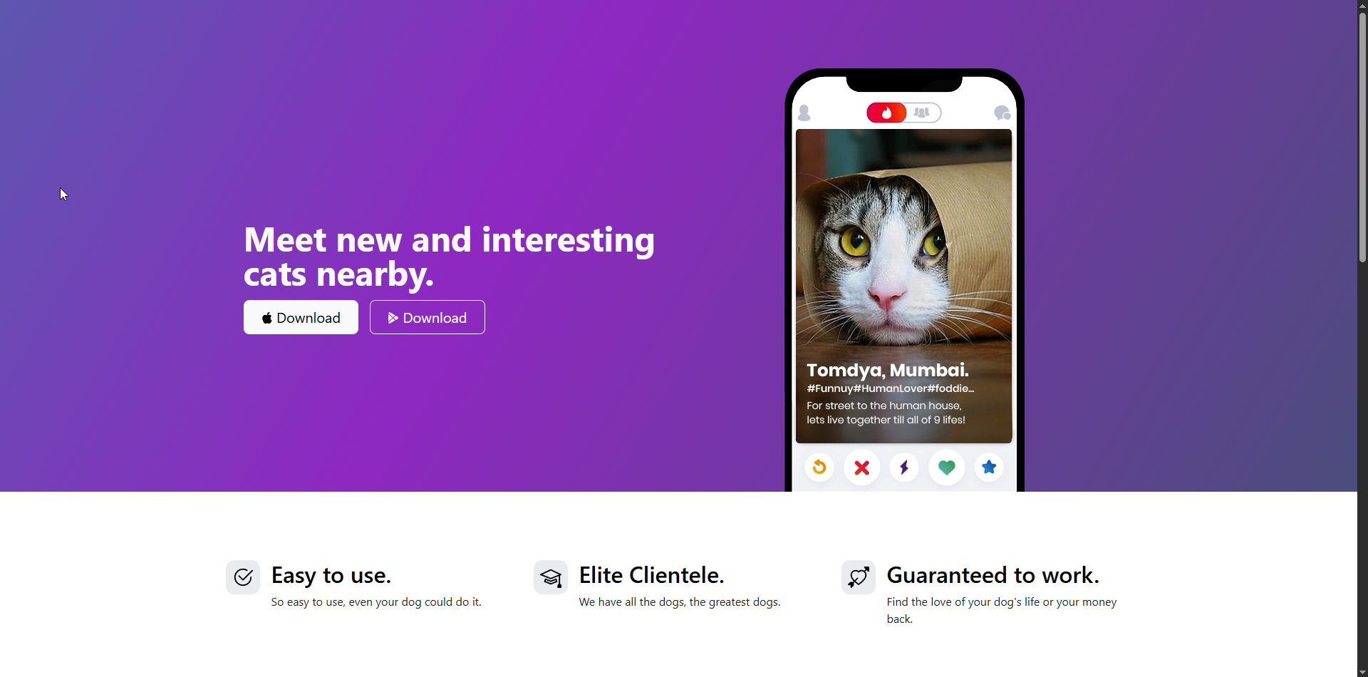 TinKat – Cat Dating Website